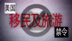 走进美国：一分钟图解美国的移民及旅行禁令