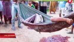 3 người Việt bị Campuchia bắn chết 3 người Việt bị Campuchia bắn chết