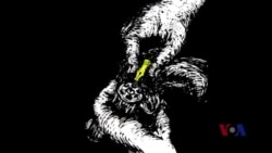 火墙内外:高瑜身陷囹圄凸显中共排斥异己无底线 火墙内外:高瑜身陷囹圄凸显中共排斥异己无底线