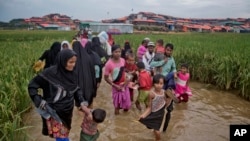 缅甸的罗兴亚穆斯林趟过积水的道路走向设在孟加拉国境内的难民营。(2017年11月17日)