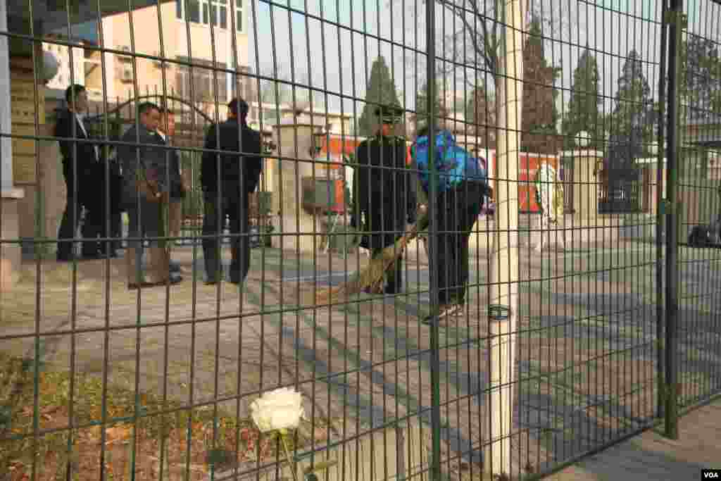 围墙下一束来自无名氏的白玫瑰(美国之音东方拍摄)