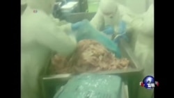 时事看台：上海福喜过期肉问题持续延烧