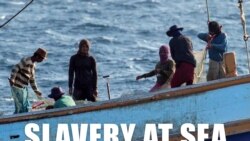 ပင်လယ်နဲ့ ငါးဖမ်းလုပ်သားတွေ ကာကွယ်ပေးရေး ဘာလီကျွန်းစည်းဝေးပွဲမှာ မြန်မာ့အရေးတင်ပြ.mp3 ပင်လယ်နဲ့ ငါးဖမ်းလုပ်သားတွေ ကာကွယ်ပေးရေး ဘာလီကျွန်းစည်းဝေးပွဲမှာ မြန်မာ့အရေးတင်ပြ.mp3