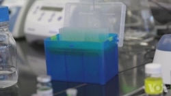 科学家们用荧光纳米颗粒与癌症斗争 科学家们用荧光纳米颗粒与癌症斗争