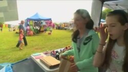 少女成立组织 用泥大象拯救真大象 少女成立组织 用泥大象拯救真大象