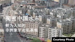 环境调查署最新报告揭密非洲象牙走私基地 - 中国水东 (图片来源:EIA调查报告封面)