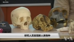 研究人员发现新人类物种 研究人员发现新人类物种
