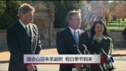 国会山迎来圣诞树 假日季节到来 国会山迎来圣诞树 假日季节到来