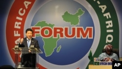 资料照:中国国家主席习近平2015年12月4日在南非约翰内斯堡桑顿会议中心举行的中非合作论坛约翰内斯堡峰会开幕式上发表讲话。在那次峰会上,中国提出要让非洲国家一万个偏远村庄接入卫星数字电视信号。(美联社照片)