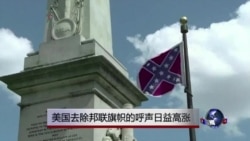美国去除邦联旗帜的呼声日益高涨 美国去除邦联旗帜的呼声日益高涨