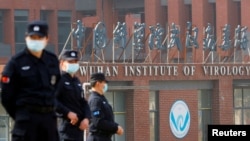 当世卫组织新冠病毒源头调查组视察武汉的中国科学院病毒研究所期间,中国保安人员在研究所外站岗。 (2021年2月3日)