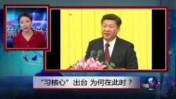 焦点对话:“习核心”出台,为何在此时? 焦点对话:“习核心”出台,为何在此时?