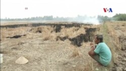 VN thiệt hại 287 triệu đôla trong 4 tháng vì hạn hán, ngập mặn VN thiệt hại 287 triệu đôla trong 4 tháng vì hạn hán, ngập mặn