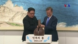 Món tráng miệng ‘Mùa xuân của nhân dân’ gây tranh cãi Món tráng miệng ‘Mùa xuân của nhân dân’ gây tranh cãi