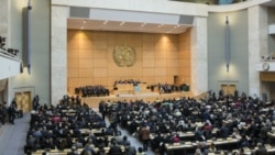 美欧日力挺台湾参加世卫大会 美欧日力挺台湾参加世卫大会