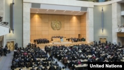 世界卫生大会(联合国世界卫生组织网站照片)