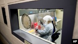 美军德特里克堡陆军传染病医学研究所科学家正在做实验(2020年3月19日资料照片)