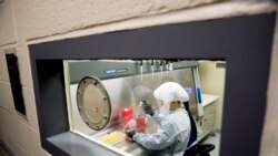 资料照片:美军德特里克堡陆军传染病医学研究所科学家正在做实验。(2020年3月19日)