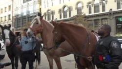 华盛顿国际马术比赛举办骑警队见面会 华盛顿国际马术比赛举办骑警队见面会