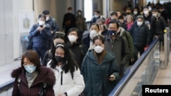 来自中国武汉的航班抵达日本成田机场后旅客进入机场大厅。(2020年1月23日)