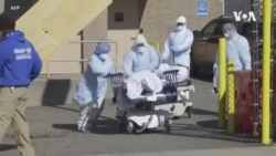 预计8月初美国新冠死亡人数将达82000人 预计8月初美国新冠死亡人数将达82000人