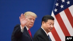 美国总统唐纳德·特朗普(左)和中国国家主席习近平离开北京人民大会堂举行的商界领袖活动(2017年11月9日)。