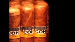 古巴举办雪茄节 古巴举办雪茄节