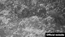 Flames rise from burning cars at the site of a car bomb in Beirut's southern suburb of Haret Hreik, Jan. 2, 2014. A large car bomb killed five people and injured at least 20, a health ministry source told AFP.