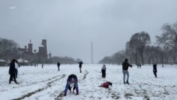 美国东北遭遇强降雪天气 美国东北遭遇强降雪天气