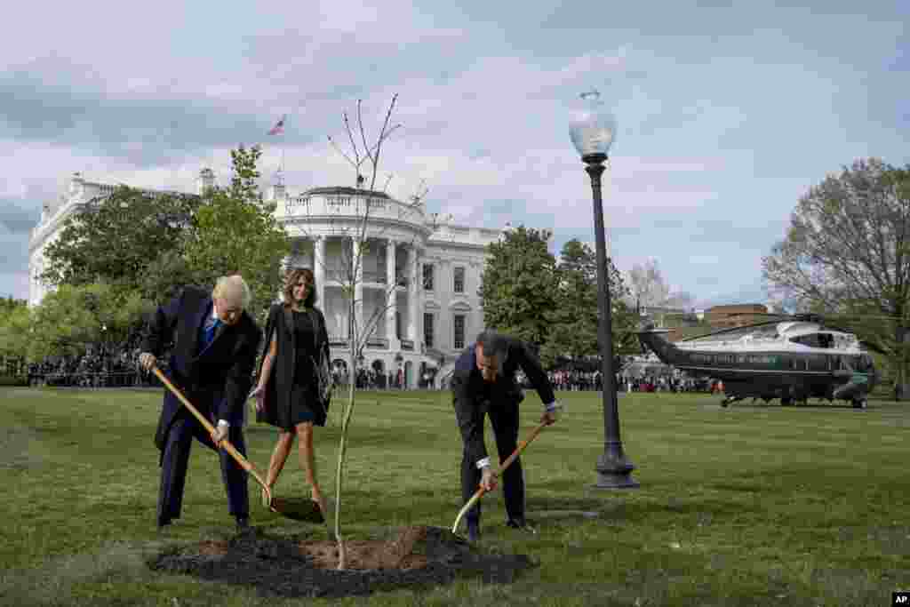 2018年4月23日,川普总统夫妇和马克龙总统夫妇在白宫南草坪上完成种树仪式。白宫有着美国连续维持时间最悠久的观赏景观园林之一,有各种反映不同季节的树木和鲜花品种。