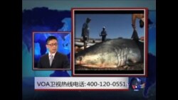 时事大家谈:中国的鱼翅外交和挑战 时事大家谈:中国的鱼翅外交和挑战