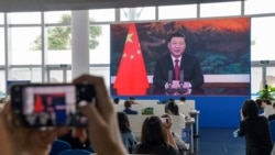 时事大家谈: “战狼国师”奉旨宣教,习近平会放弃战狼外交? 时事大家谈: “战狼国师”奉旨宣教,习近平会放弃战狼外交?