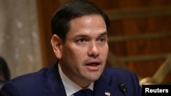 美国会共和党参议员马克·鲁比奥2019年4月10日在参议院外交关系委员会的一个听证会上发言。