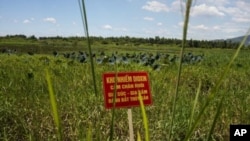 在橙剂清理工作开工典礼上,前美军岘港机场二恶英污染土地插上了警告牌