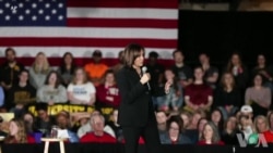 民主党总统竞选阵营庞大 或将迎来持久战 民主党总统竞选阵营庞大 或将迎来持久战