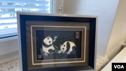 2025年3月3日,阿赫泰里市长办公室窗台上的大熊猫画像。 (美国之音/李北平摄)