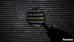 “黑影”公司从2010年以来将RAT,即“远程进入工具”的恶意软件销往全世界100多个国家的数千人,影响了50多万台电脑。