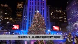 亮丽风景线:曼哈顿橱窗喜迎佳节竞豪奢 亮丽风景线:曼哈顿橱窗喜迎佳节竞豪奢