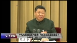 时事大家谈:十九大前加强军内整肃,习近平抓军权还是防政变? 时事大家谈:十九大前加强军内整肃,习近平抓军权还是防政变?