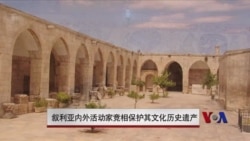 叙利亚境内外活动人士奋力保护历史遗产 叙利亚境内外活动人士奋力保护历史遗产