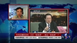 时事大家谈:只打“新老虎”,放过“老老虎”:中共反腐新动向? 时事大家谈:只打“新老虎”,放过“老老虎”:中共反腐新动向?