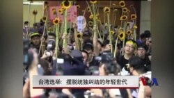 台湾选举:摆脱统独纠结的年轻世代 台湾选举:摆脱统独纠结的年轻世代