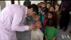 流感病毒仍比战争更致命 季节疫苗有效性60% 流感病毒仍比战争更致命 季节疫苗有效性60%