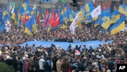 A northern rockhopper penguin stands in its enclosure at Munich's Hellabrunn Zoo, Germany.