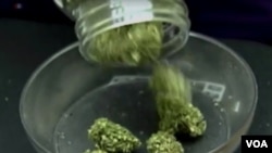 药用大麻(美国之音网站截图)
