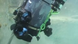 美国万花筒:希拉里·克林顿败选后首次接受正式采访;水下机器人迎战外来物种;亚瑟王重返大银幕 美国万花筒:希拉里·克林顿败选后首次接受正式采访;水下机器人迎战外来物种;亚瑟王重返大银幕