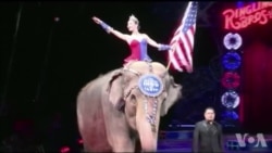 美国万花筒:百年玲玲马戏团宣布关门大吉 美国万花筒:百年玲玲马戏团宣布关门大吉