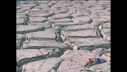 年终报道:气候变化 年终报道:气候变化