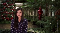 走进美国:长木圣诞花园 打造五感飨宴 走进美国:长木圣诞花园 打造五感飨宴