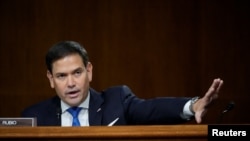 资料照片:美国国会共和党籍参议员马可·鲁比奥在参议院外交关系委员会的一次听证会上质询美国国务卿安东尼·布林肯。(2021年9月14日)U